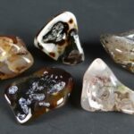 Polished agate specimens showing translucent amber tones and dendritic inclusions