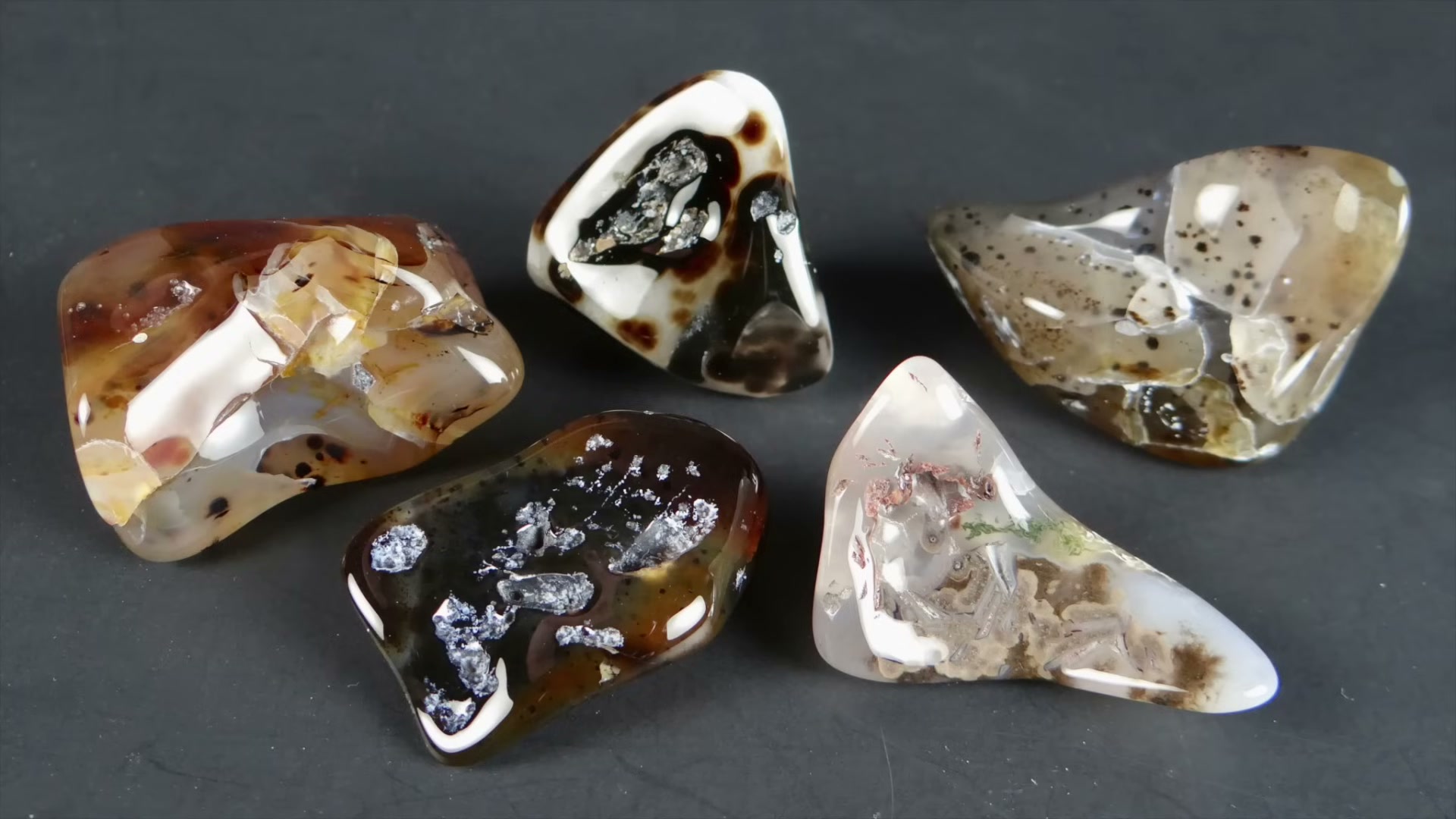 Polished agate specimens showing translucent amber tones and dendritic inclusions