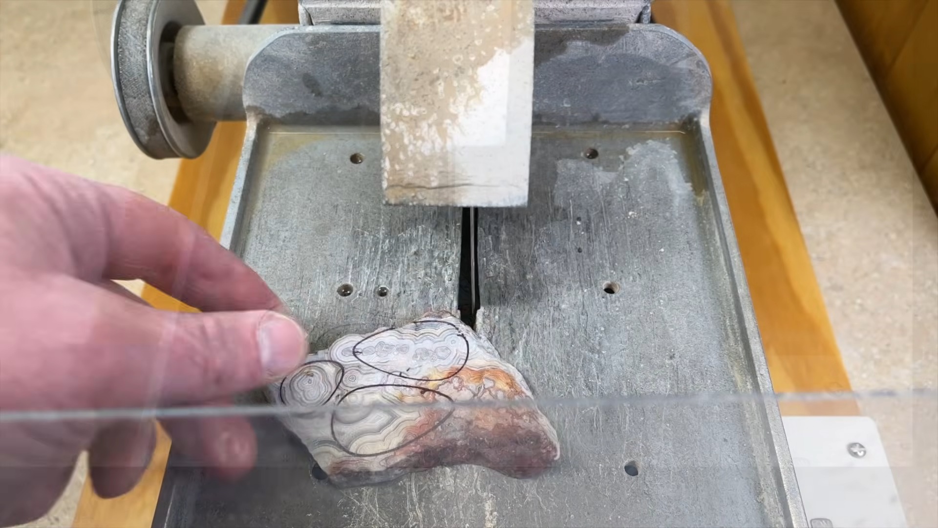 Crazy lace agate slab with sharpie oval templates drawn ready to cab