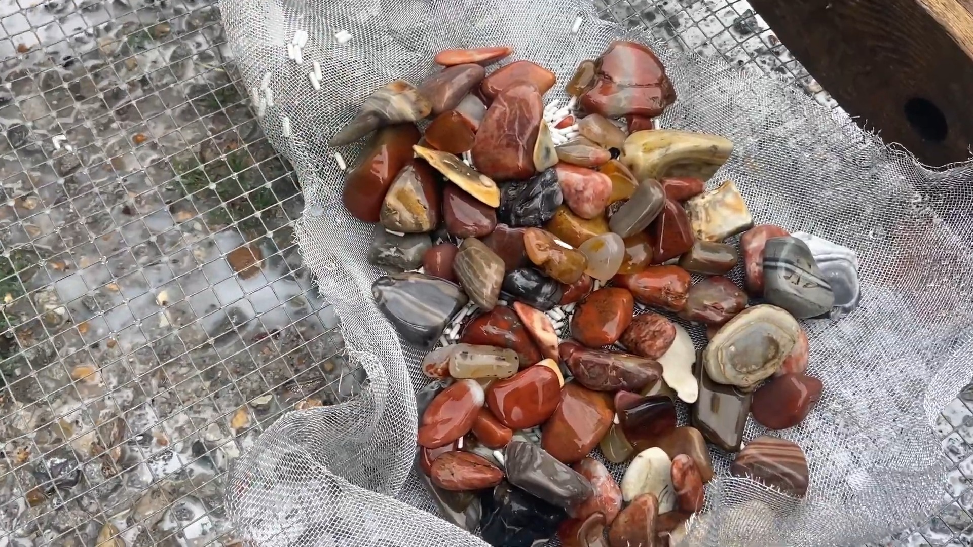 A pile of colorful polished rocks — red jasper, banded agate, carnelian, and quartz — emerging from a mesh sifter, showing what a finished rock tumbling batch looks like